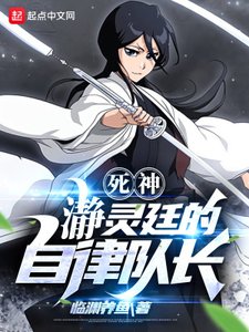 《(死神同人)死神:瀞灵廷的自律队长》