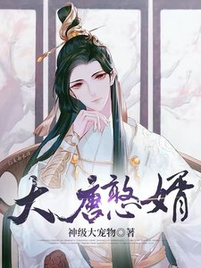 《大唐憨婿》