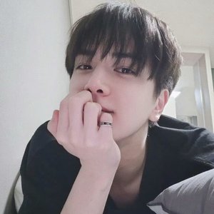 《金泳勋:家有二狗》