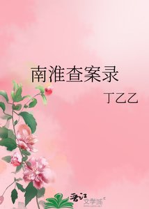 《南淮查案录》