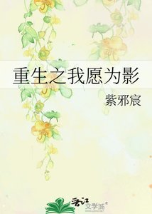 《重生之我愿为影》