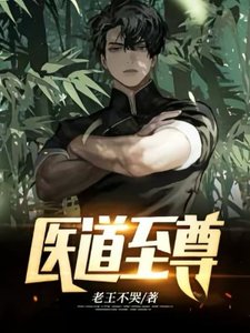 《医道至尊》
