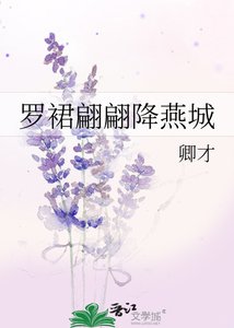 《罗裙翩翩降燕城》