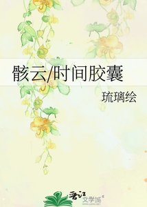《骸云/时间胶囊》