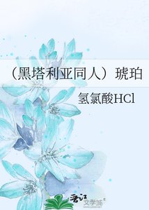 《(黑塔利亚同人)琥珀》