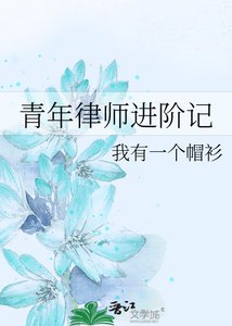 《青年律师进阶记》