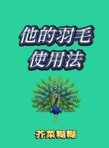 《他的羽毛使用法》