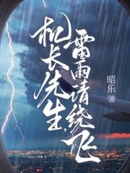 《机长先生,雷雨请绕飞》