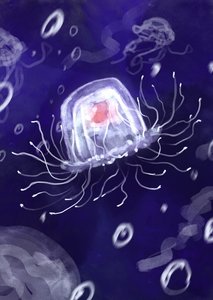 《小水母的海底历险记》