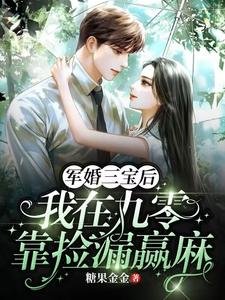《军婚三宝后,我在九零靠捡漏赢麻》