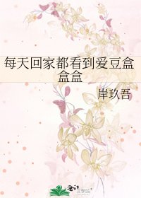 《每天回家都看到爱豆盒盒盒》