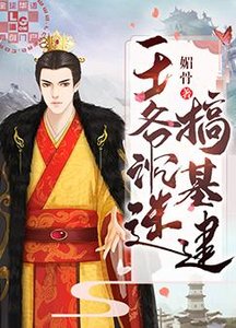 《王爷沉迷搞基建》