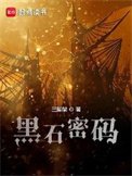 《黑石密码》