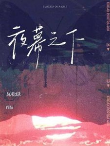 《夜幕之下》