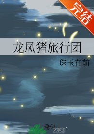 《(历史同人)龙凤猪旅行团》