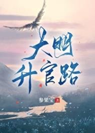 《大明升官路》