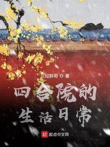 《四合院的生活日常》