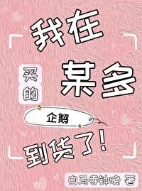 《我在某多买的企鹅到货了》