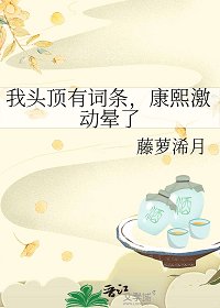 《我头顶有词条,康熙激动晕了》
