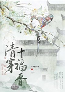 《(清穿同人)清穿十福晋》