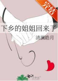 《下乡的姐姐回来了》