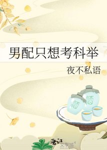 《男配只想考科举》