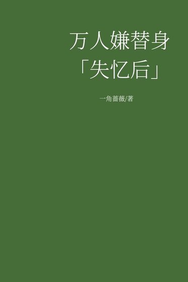 《万人嫌替身失忆后恋综摆烂》