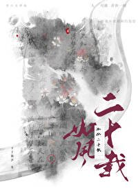 《如风二十载》