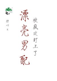 《漂亮男配被疯攻盯上了》