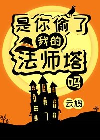 《是你偷了我的法师塔吗?》