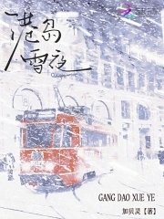 《港岛雪夜》