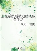 《上交系统后被迫结束咸鱼生活》