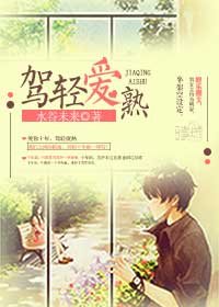 驾轻爱熟