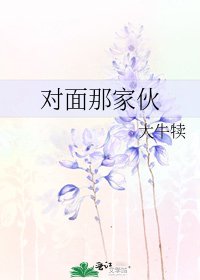 《对面那家伙》
