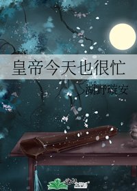 《皇帝今天也很忙》