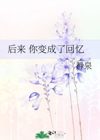 《后来 你变成了回忆》