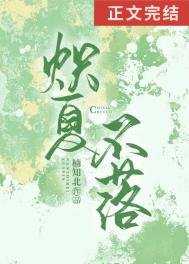 《炽夏不落》