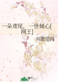 一朵鸢尾，一世倾心[网王]