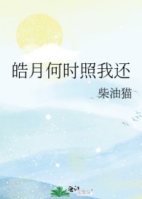 皓月何时照我还