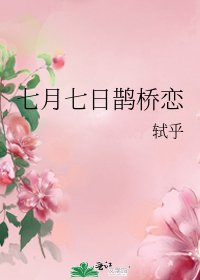 《七月七日鹊桥恋》