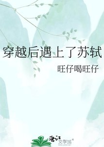 《穿越后遇上了苏轼》