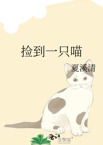 《捡到一只喵》