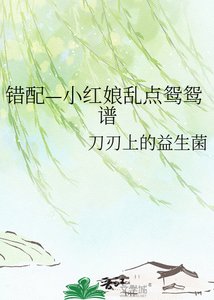 《错配—小红娘乱点鸳鸳谱》