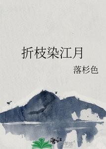 《折枝染江月》