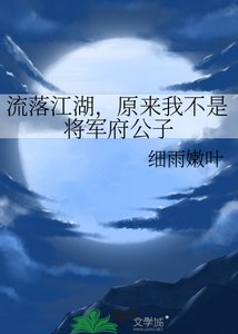 《流落江湖,原来我不是将军府公子》