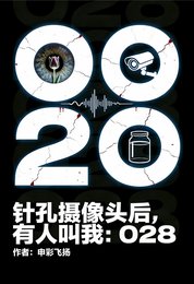 《针孔摄像头后,有人叫我:028》