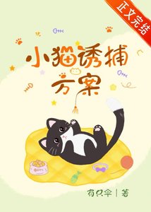 《小猫诱捕方案》