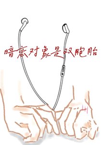 《暗恋对象是双胞胎》