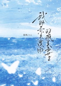 《我那素未谋面的疯美妻子》