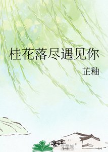 《桂花落尽遇见你》